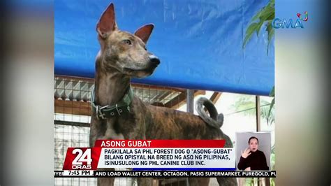pinay dog style scandal|Sa Gubat Dinonselya Ang Masikip na Kweba ni Maria (Iyot sa Pwit).